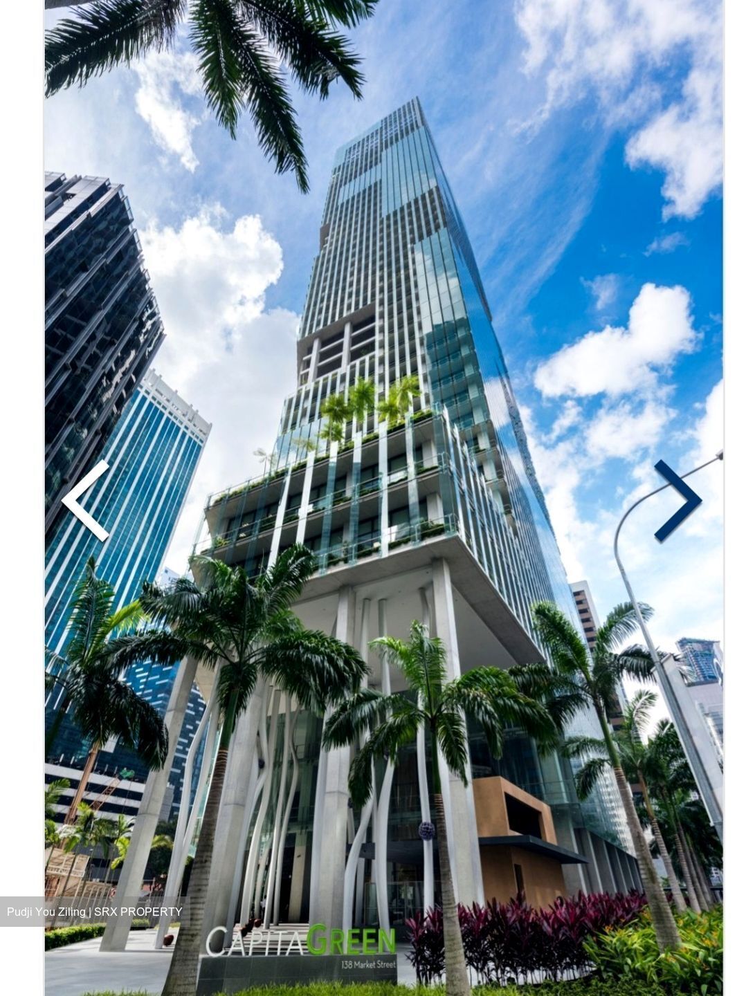 Capitagreen (D1), Office #455647551